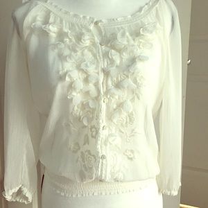 Abercrombie and Fitch Sheer Blouse